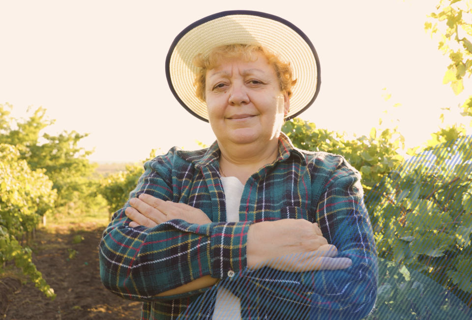 Vida member journey masthead